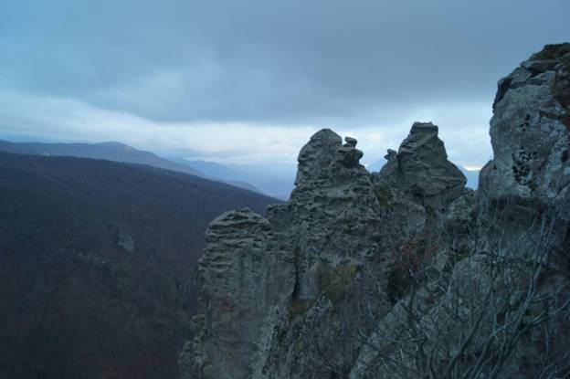 F:\DCIM\\ 2013_2014\3\DSC00871.JPG